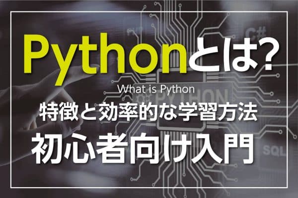 Pythonとは？できることと学習の方法は？【プログラミング初心者向け入門】
